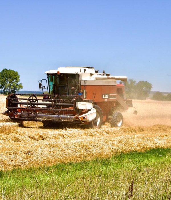 photo-terre-demploi63-agriculture-slider-accueil1